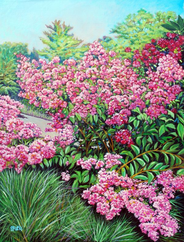 Pink Flowers with path